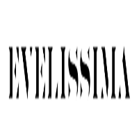 Logo firmy Damski butik online | Evelissima