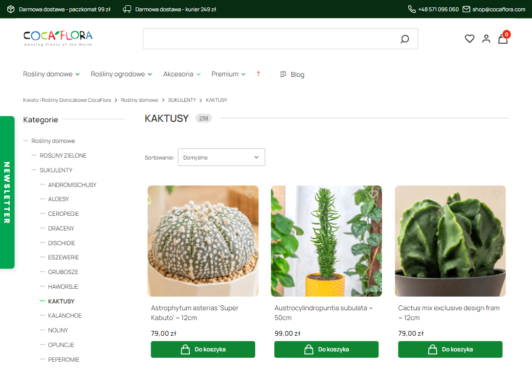 Jak pielęgnować kaktusy, aby nie gniły i zachowały zwarty pokrój?